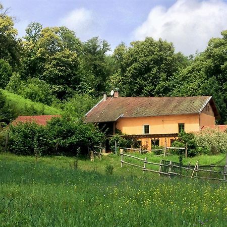 Le Mas De Planaise Saint-Jean-d'Avelanne Exteriör bild