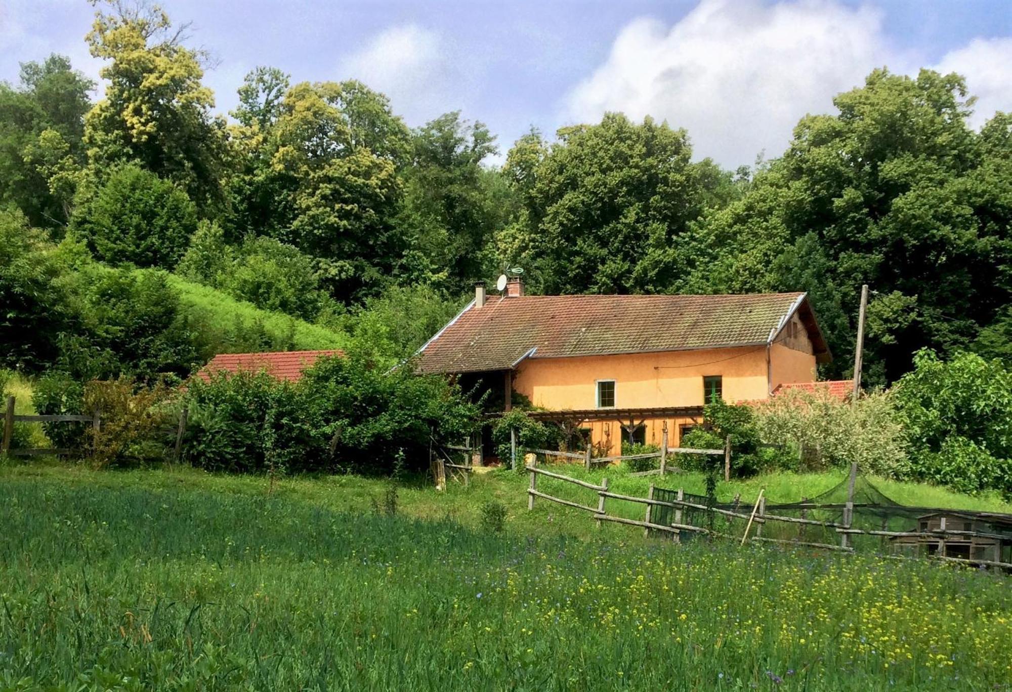 Le Mas De Planaise Saint-Jean-d'Avelanne Exteriör bild